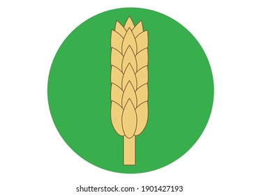 
Wheat spike icon, cereal with gluten over green circle