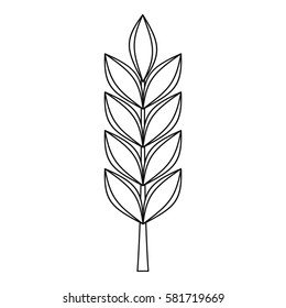 Wheat spike icon. Outline illustration of wheat spike vector icon for web