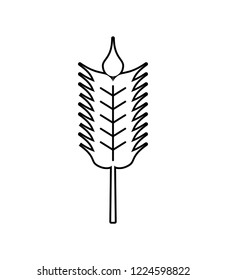 wheat spike isolated icon