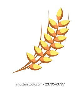 wheat spike isolated illustration design