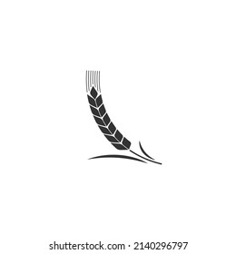 Wheat spike isolated on white background. Grain plant silhouette. Spica icon. Ear organic. Vector illustration flat design