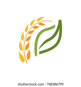 wheat spike with a leaf logo, elegant wheat with an outline of leaf, natural logo, symbol design, isolated on white background
