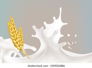 wheat spike milk splashes isolated illustration vector