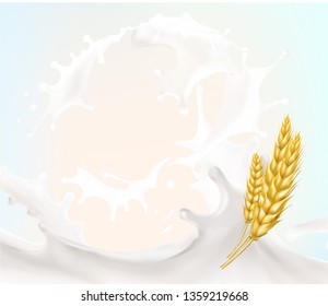 wheat spike milk splashes isolated illustration vector