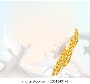 wheat spike milk splashes isolated illustration vector