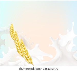 wheat spike milk splashes isolated illustration vector