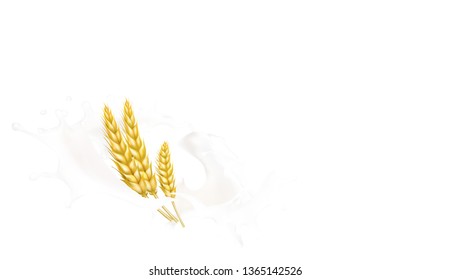 wheat spike milk splashes isolated illustration 
