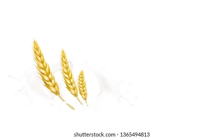 wheat spike milk splashes isolated illustration vector