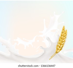 wheat spike milk splashes isolated illustration vector
