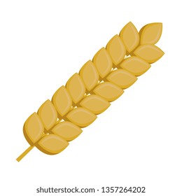 wheat spike nature icon