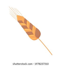 wheat spike nature isolated icon