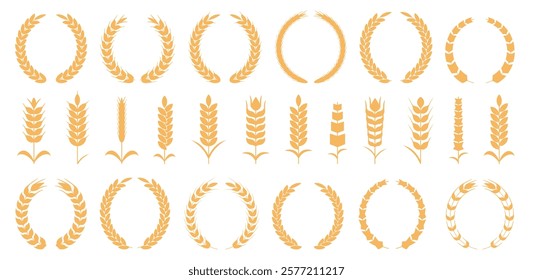 Wheat spike and rye ears collection. Set of yellow wheat icon. Barley spike or corn ear collection