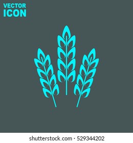 Wheat spike vector icon
