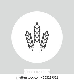 Wheat spike vector icon