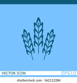 Wheat spike vector icon