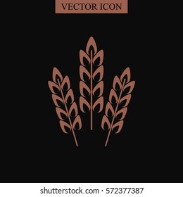 Wheat spike vector icon