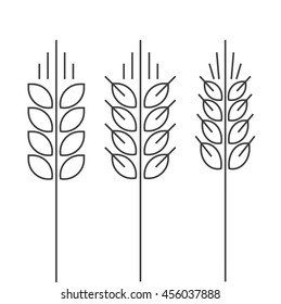 Wheat spike vector icons set isolated on white background, grain ear logo element for organic food design, outline thin line style black spica