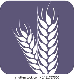 Wheat spike vector illustration eps10 agriculture icon.