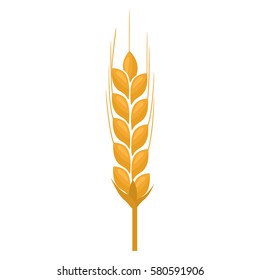 Wheat spike yellow isolated on white background. Ear organic with flat and solid color design. Vector Illustration