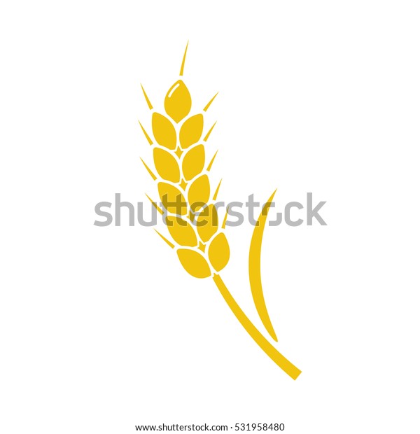 白い背景に小麦のスパイク黄色 穀物のシルエット スピカのアイコン 耳は有機的 ベクターイラストフラットデザイン 穀類は天然 ロゴとして のベクター画像素材 ロイヤリティフリー