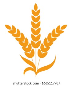 Wheat spikelet, cereal grain outline, three stalks, ears. Symmetrical plant with leaves, harvest for flour, bakery product, food logo design. Abstract graphic vector illustration on white background.