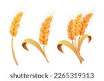 Wheat spikelet, grain on straw in cartoon style, detailed isolated on white background. Agriculture plant with seeds