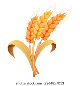 Wheat spikelet, grain on straw in cartoon style, detailed isolated on white background. Agriculture plant with seeds