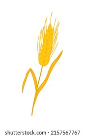 Wheat. Spikelet of ripe wheat. Vector wheat icon. Grain of barley, oats, rye.