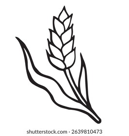 wheat spikelet simple vector doodle illustration