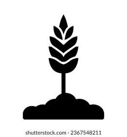 Wheat spikelet solid icon, organic concept, Spica sign on white background, Wheat ear icon in glyph style for mobile concept and web design. Vector graphics