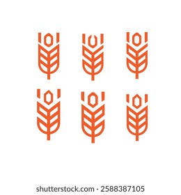 wheat spikelet vector icon set