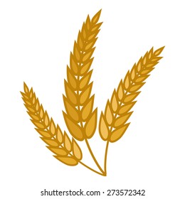 Wheat spikelet vector illustration
