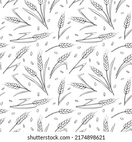 Wheat spikelets and grains, vector seamless pattern. Outline drawn in sketch style isolated. Design of print, wrapping paper, packaging on theme of bakery products, flour, harvest, thanksgiving.
