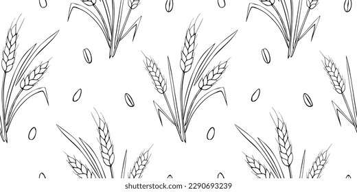 Wheat spikelets and grains, vector seamless pattern. Outline drawn in sketch style isolated. Design of print, wrapping paper, packaging on theme of bakery products, flour, harvest, thanksgiving.