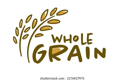 Wheat spikelets, isolated whole grain logotype for products or bakery shop. Agriculture and ecological, organic and natural ingredients for cooking and preparing flour food. Vector in flat style