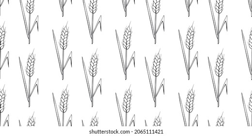 Wheat spikelets, vector seamless pattern. Black outline drawn in sketch style isolated on white background. Design of fabric, wrapping paper, packaging on the theme of bakery products, flour, harvest
