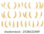 Wheat spikes, barley sheaf with grain set
