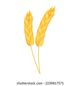 wheat spikes icon isolated design