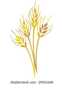 wheat spikes vector illustration