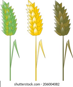 wheat sprigs