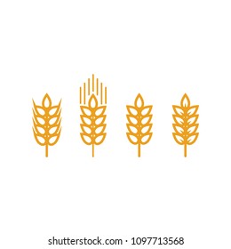 Wheat stalk, design for product logo. Isolate on white background.