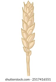 Wheat Stalk Rice Ear Straw Cartoon