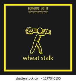 wheat stalk  sketch vector icon