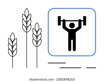 Wheat stalks beside weightlifter lifting barbell in blue-outlined square. Ideal for nutrition, agriculture, fitness, health awareness, farm-to-fitness, sustainable living, wellness blogs. Banner