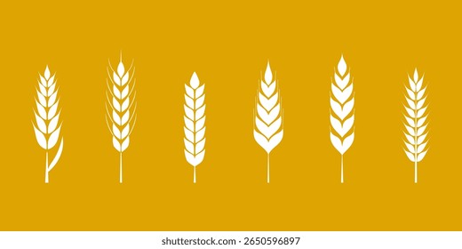 Wheat stalks collection. Vector illustration six distinct white wheat ears or rice isolated on vibrant golden background, ideal for agricultural wheat themes, food packaging or organic products logo.