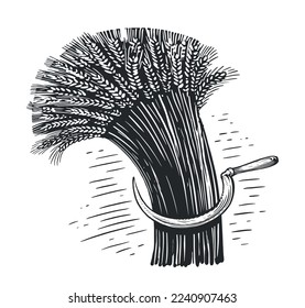 Wheat stalks and sickle. Farm organic cereal food. Agriculture, harvest sketch vintage vector illustration