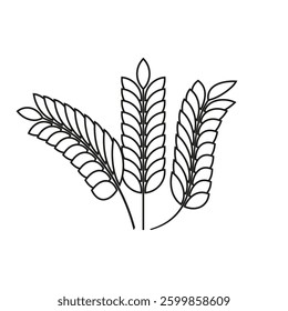 Wheat stalks vector. Agricultural design concept. Nature outline symbols. Rural harvest shape.