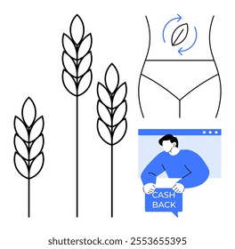 Wheat stalks, a womans midsection showing digestion health, and a man using online cashback. Ideal for health, wellness, agriculture, finance, and online services. Clean modern style