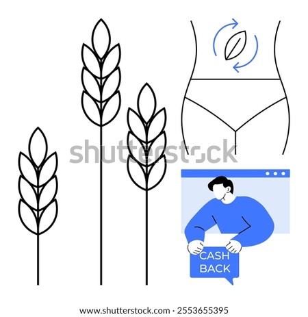 Wheat stalks, a womans midsection showing digestion health, and a man using online cashback. Ideal for health, wellness, agriculture, finance, and online services. Clean modern style