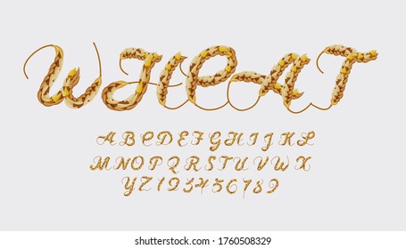Wheat style font design, alphabet letters and numbers, Eps10 vector.